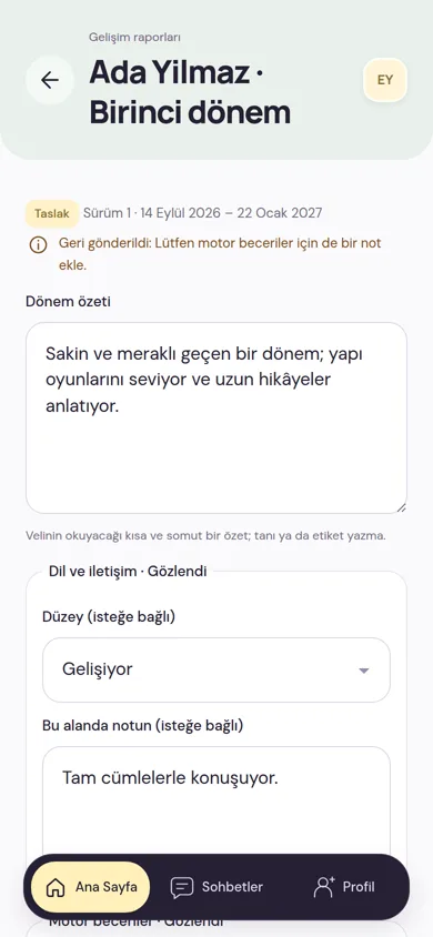 Dönem raporu taslağı: yöneticinin geri bildirimi, dönem özeti ve dil ve iletişim alanında düzey seçimi